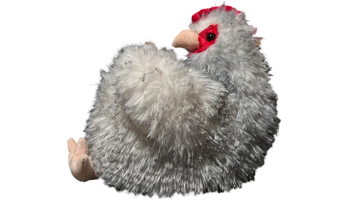 Young Chicken Chalk Bucket product image (1)