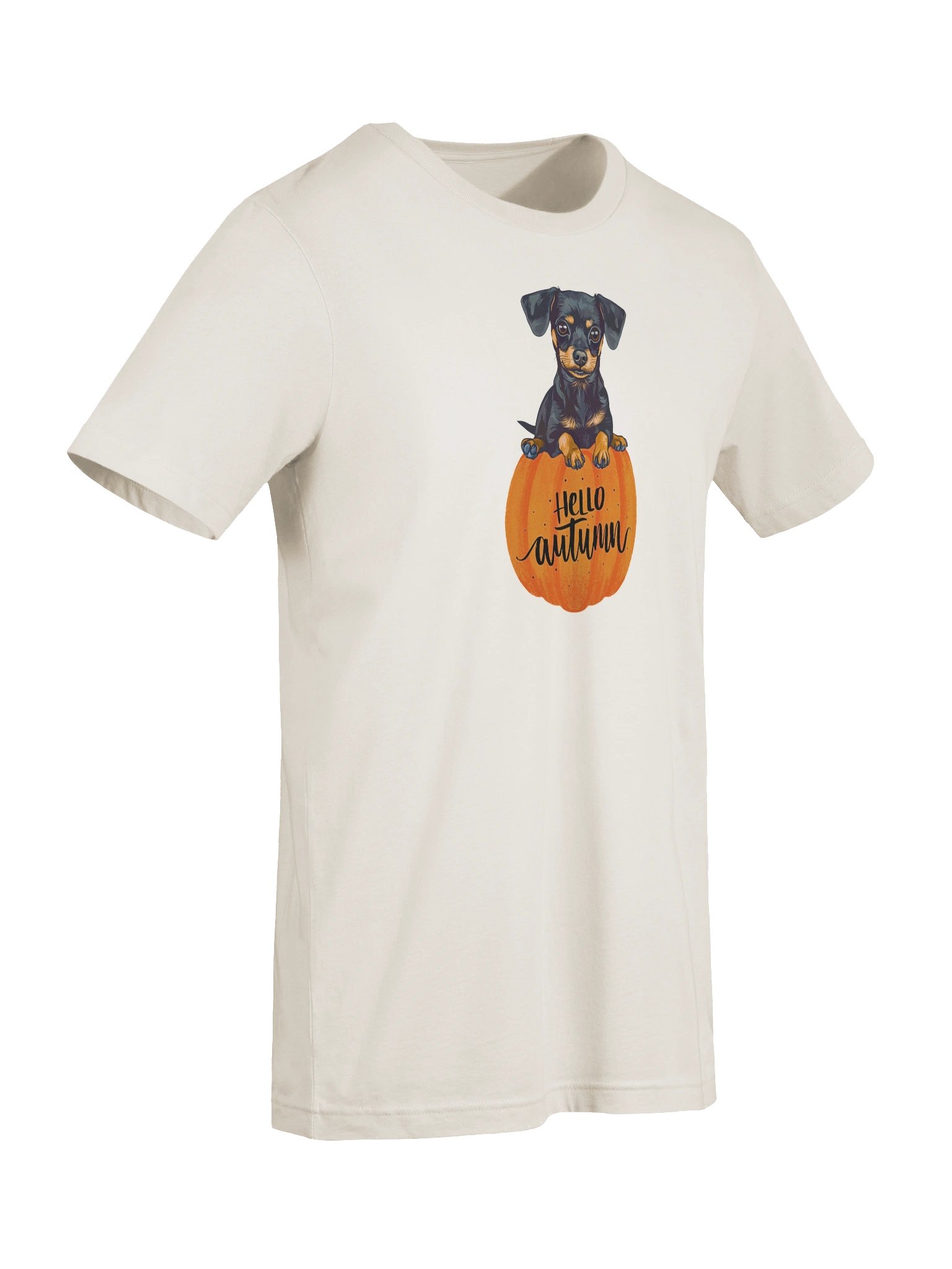 Hello Autumn Chiweenie Graphic Tee - Sit Stay Slay Collection product image (9)