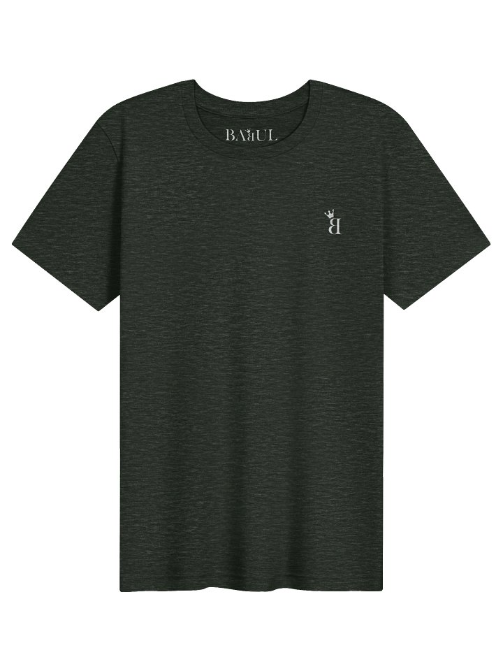 Champion T-shirts product image (2)