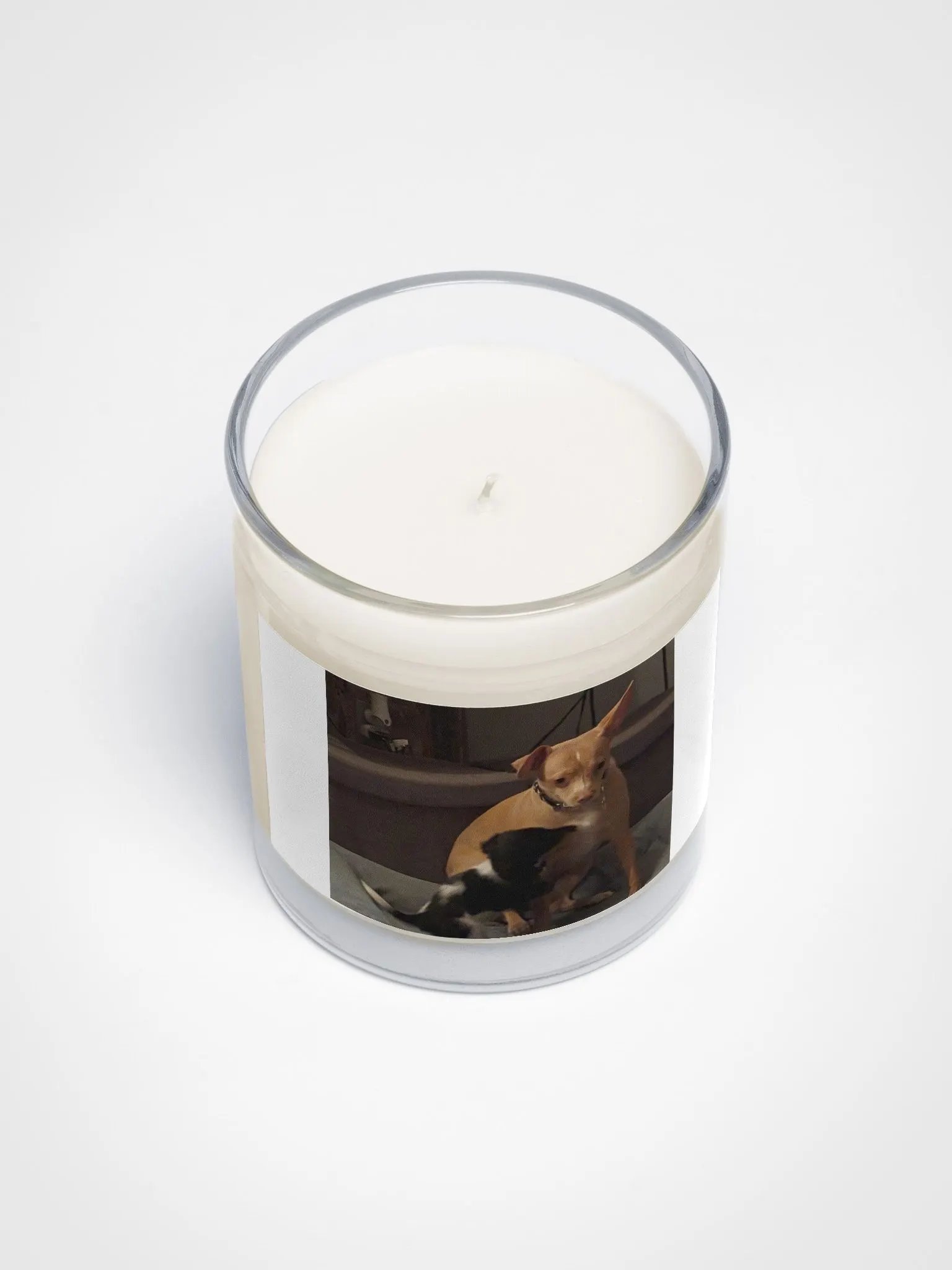 Yoda Wicks product image (3)