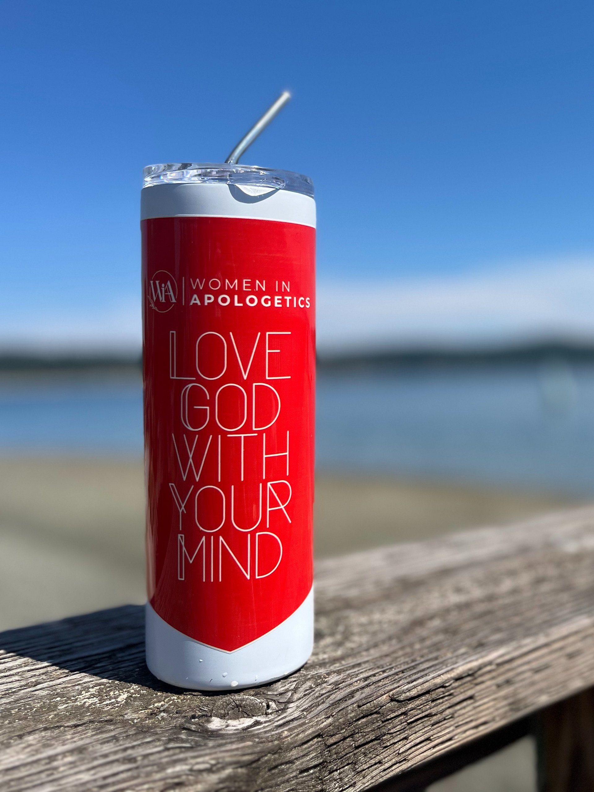 Love God With Your Mind Insulated Tumbler product image (1)
