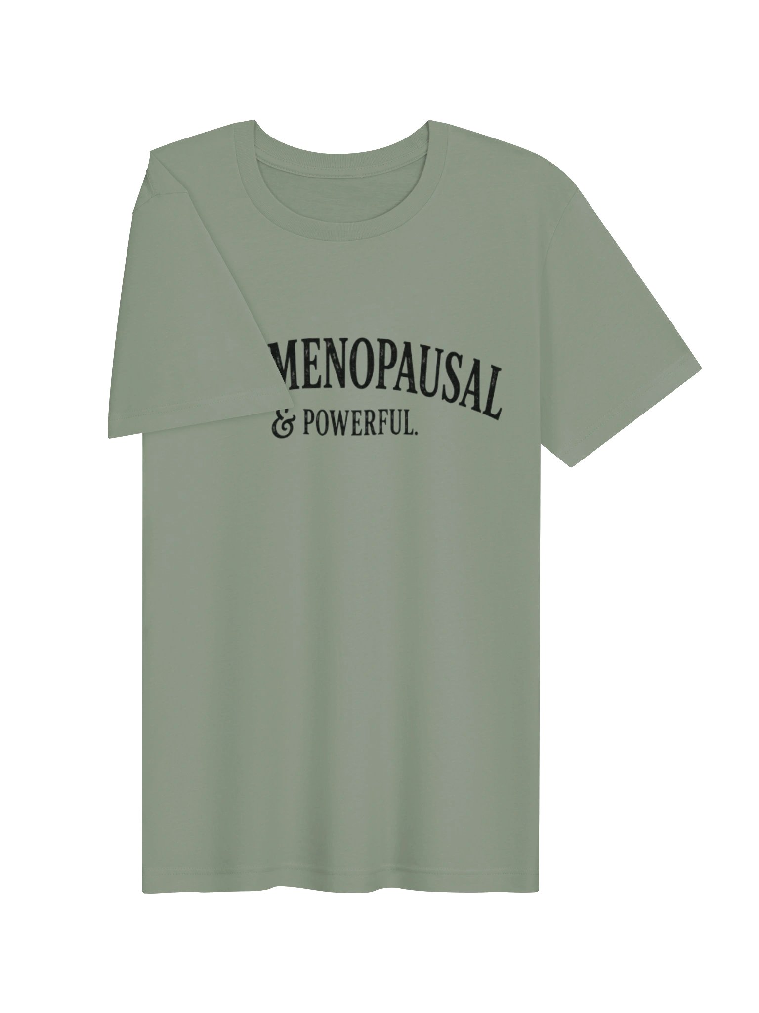 Perimenopausal & Powerful | Vintage Perimenopause Graphic Tee product image (18)