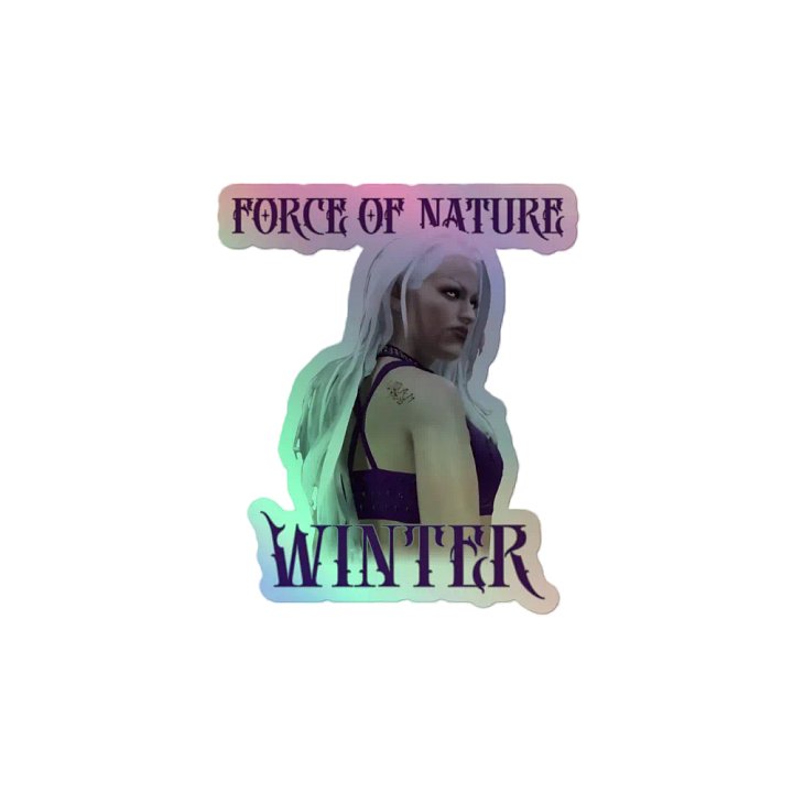 BTW Winter holographic stickers product image (2)