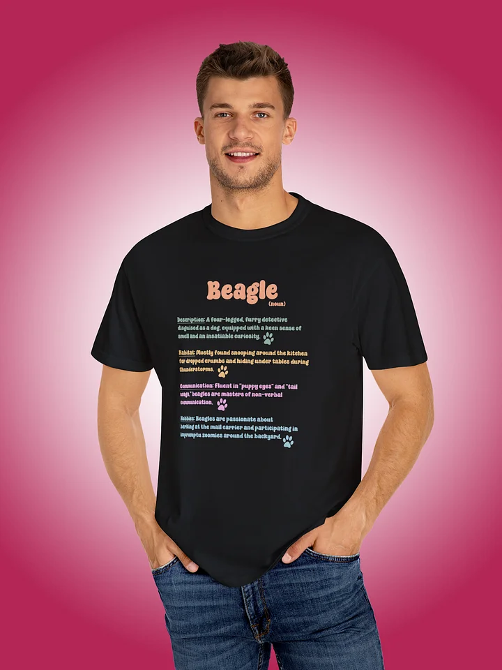 Definition of a Beagle product image (1)