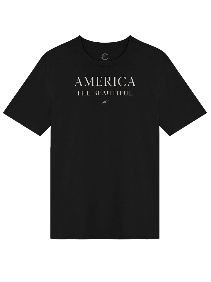 America 250: "America II" Organic T-Shirt product image (2)