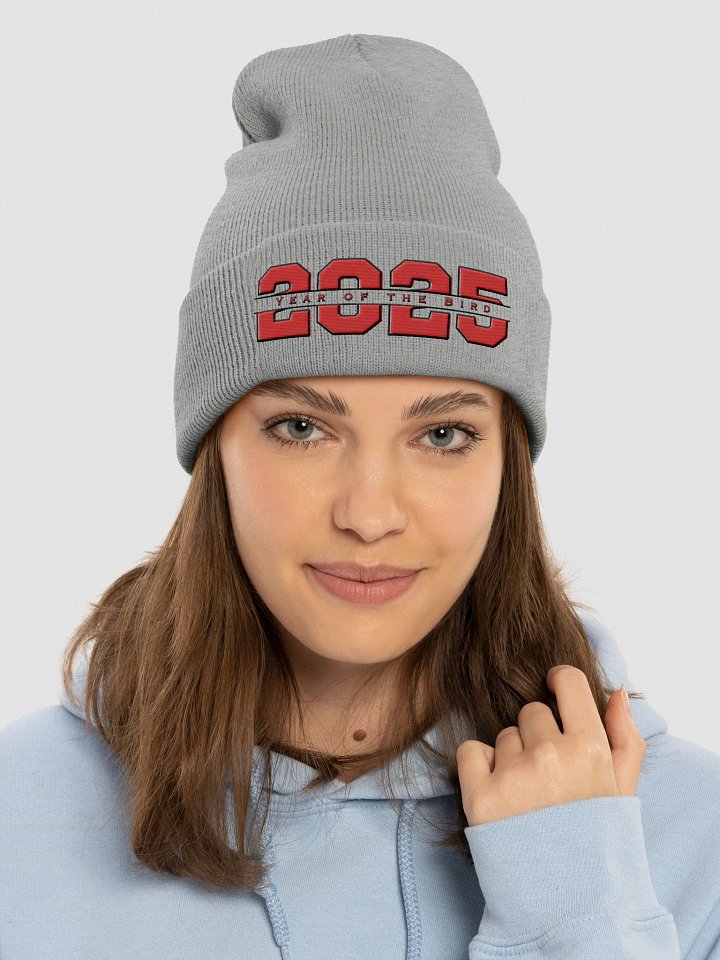 Red "Year of the Bird" Beanie product image (1)