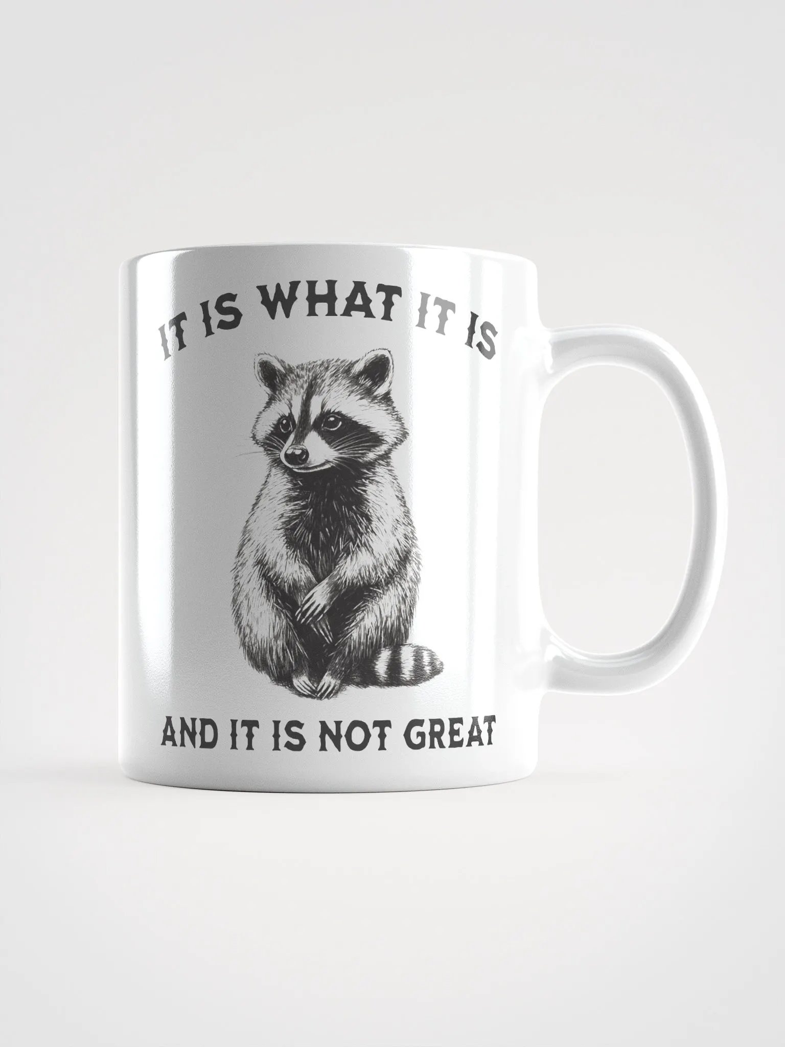Raccoon It Is What It Is Mug product image (6)