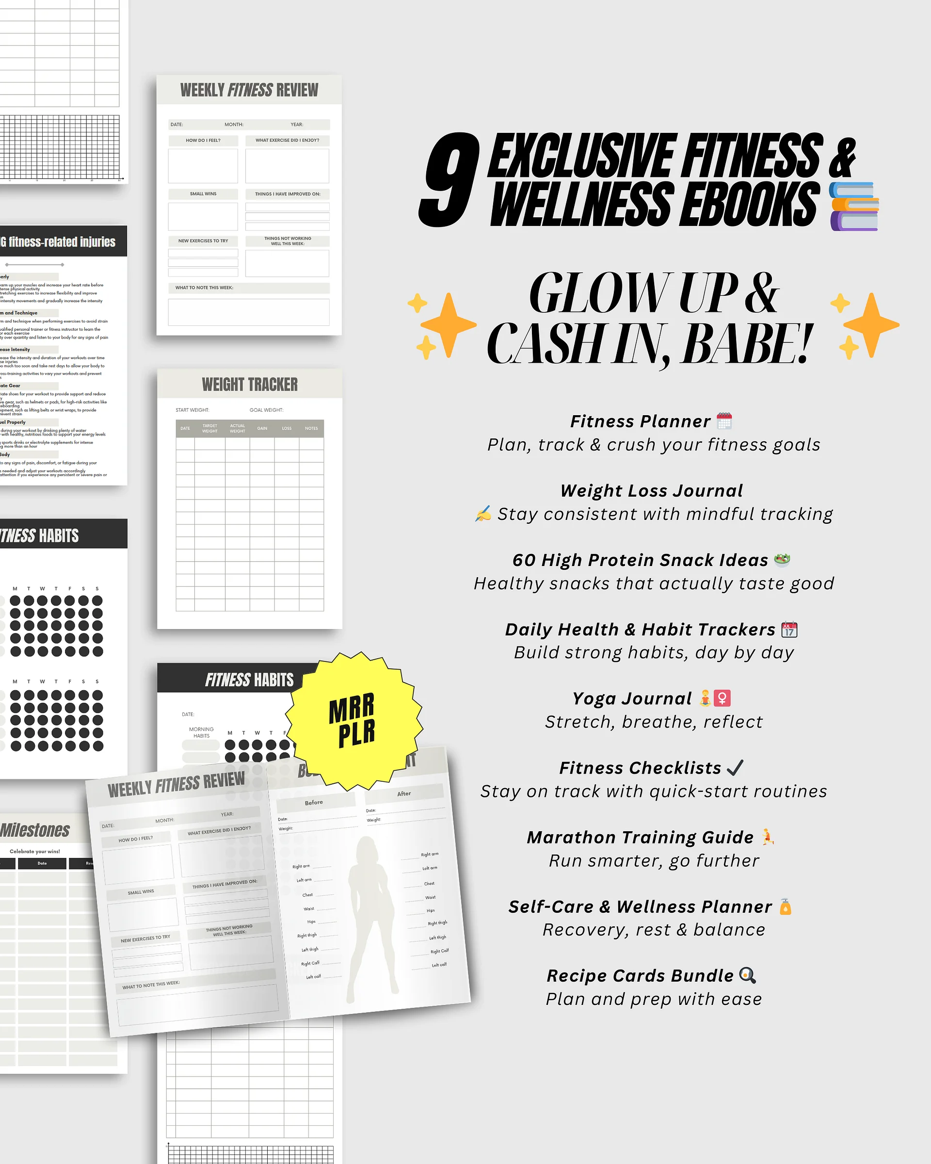 Ultimate Fitness Bundle , 9 Wellness Guides | MRR PLR Bundle product image (3)