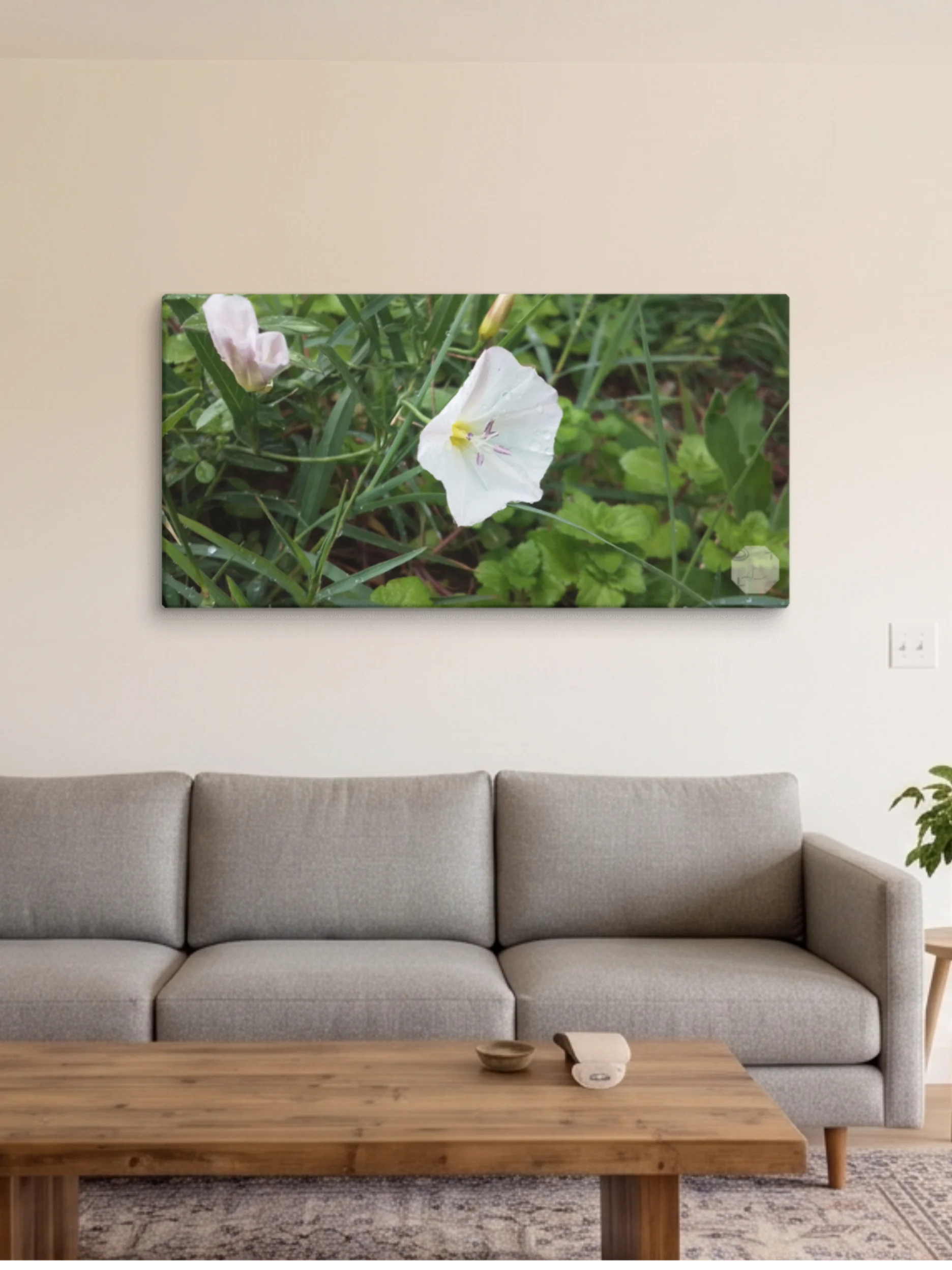 Petunia - Canvas Fine Art product image (4)