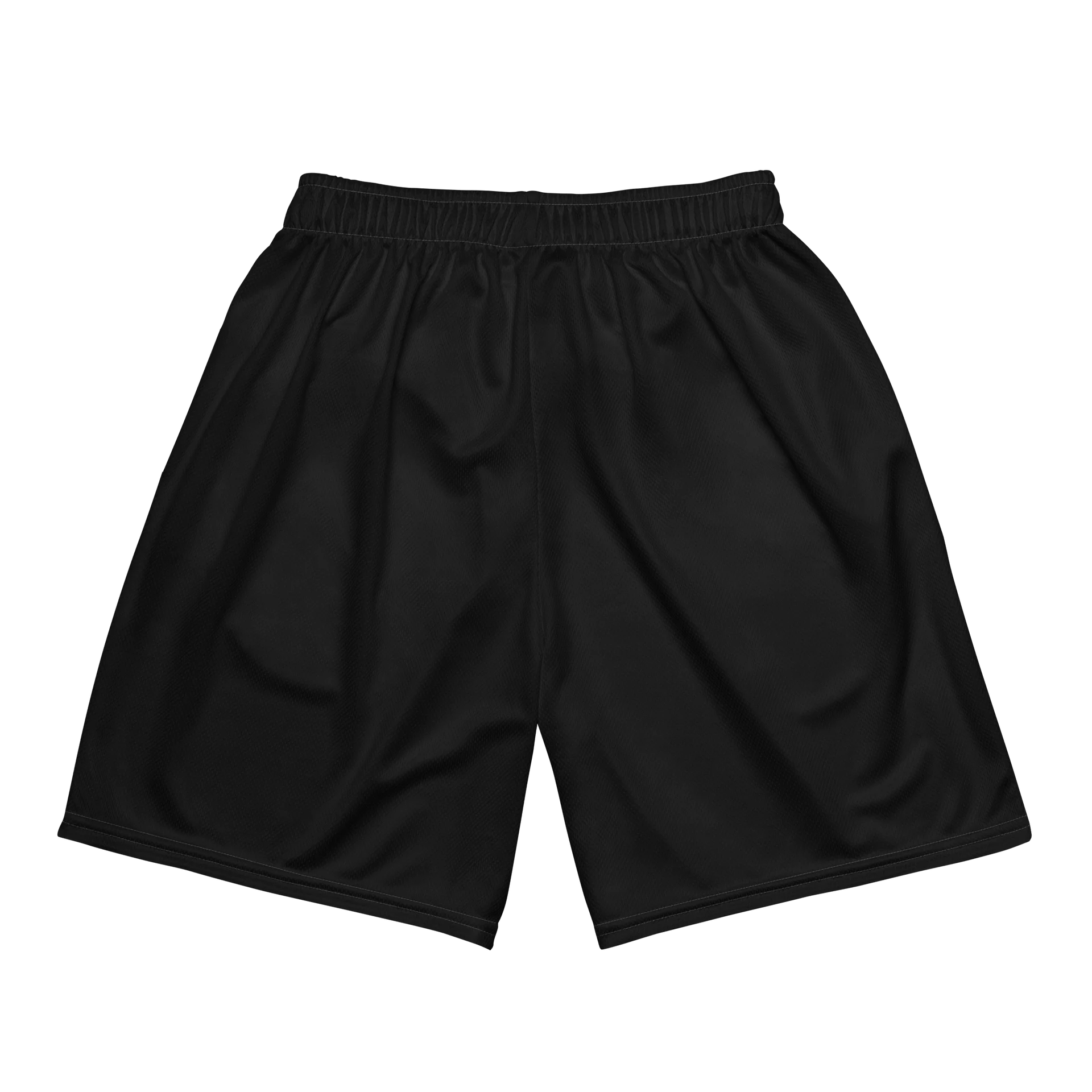 66 Athletic Mesh Shorts product image (4)