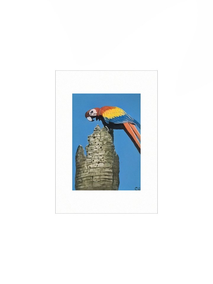 Scarlet Spirit of Playa Blanca Matte Poster product image (1)