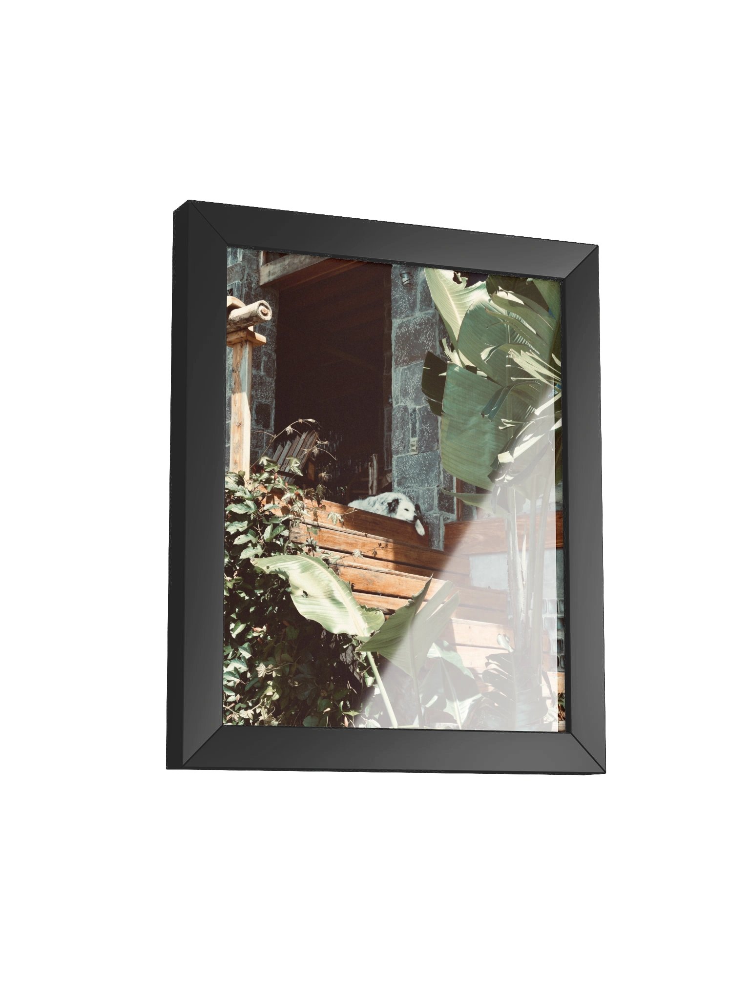 Atitlan Dog product image (26)