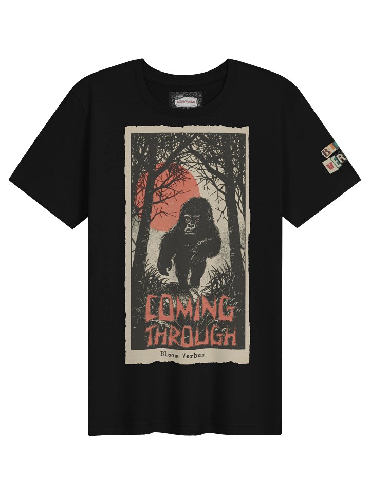 Coming Through product image (1)