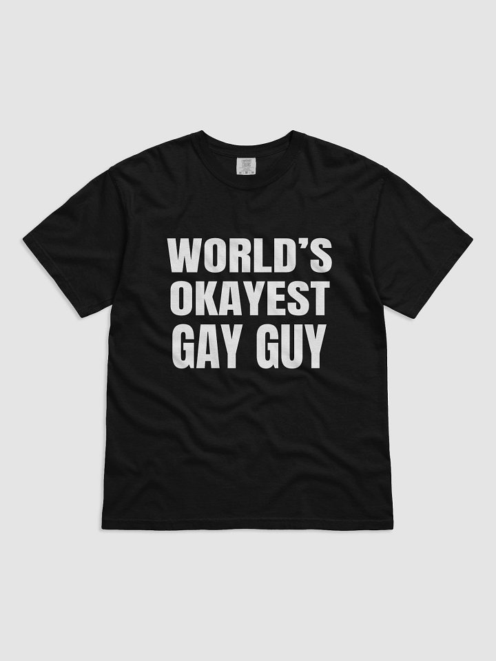 World's Okayest Gay Guy T-Shirt product image (1)