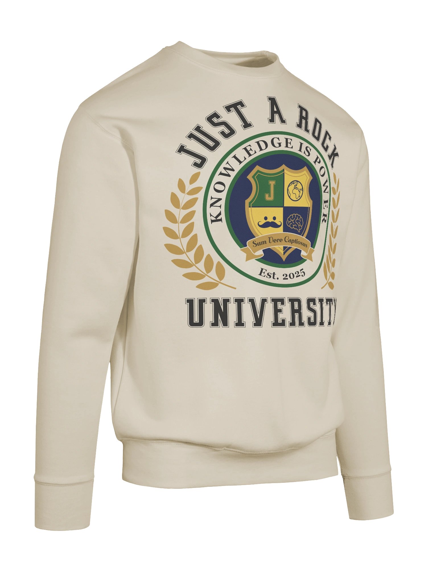 University Sweatshirt product image (3)