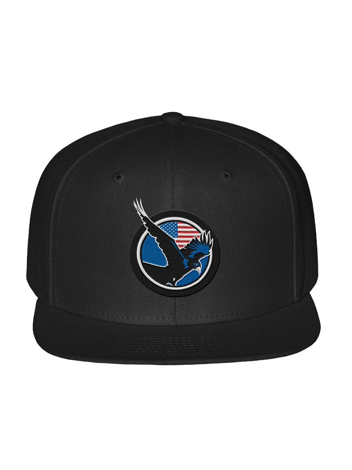 NRVN MILITARY AIR FORCE APPRECIATION HAT - 2025 product image (2)
