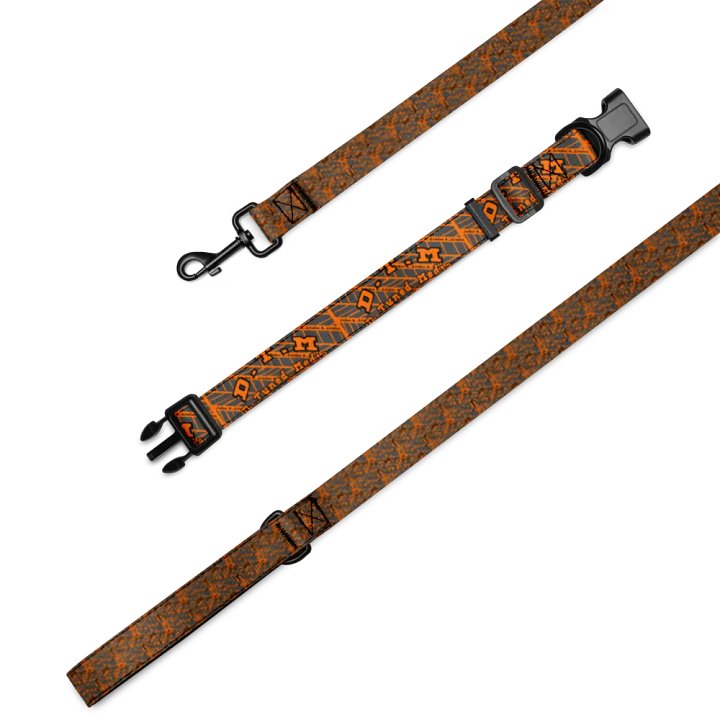 Vibrant Barcode Pet Collar & Leash Set product image (2)