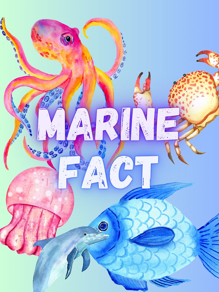 Marine Fact Sponsor April 2026 product image (1)