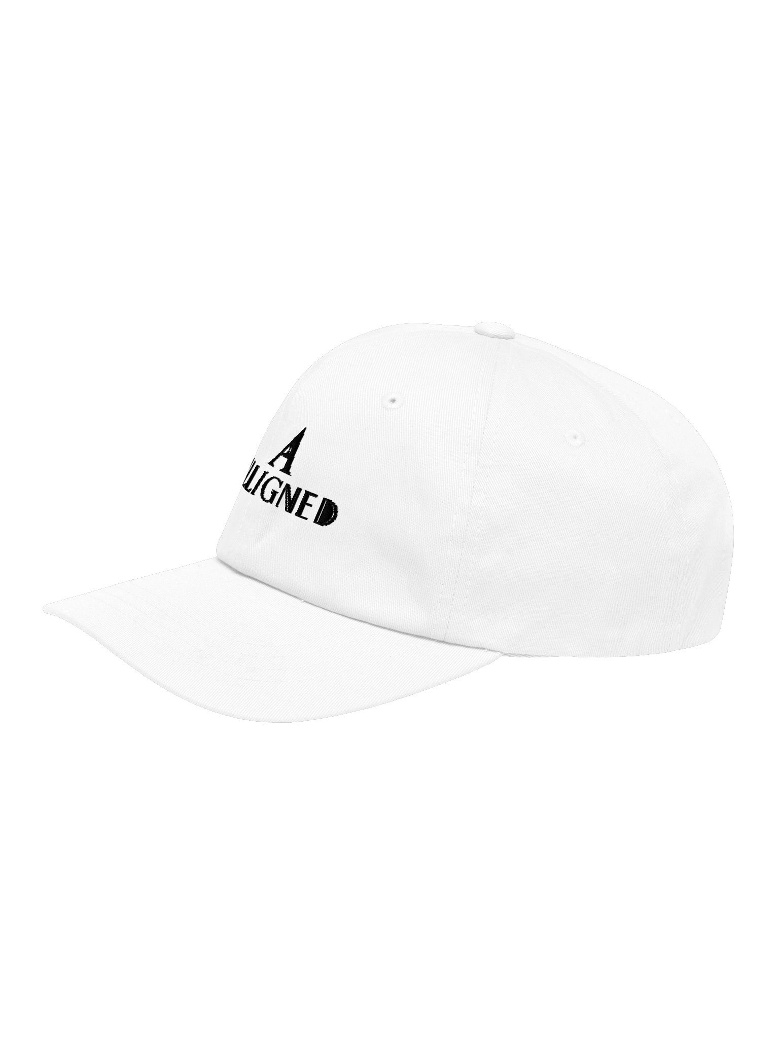Alligned Hat product image (3)