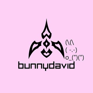 BunnyDavid