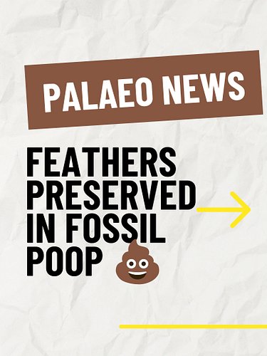Imagine being chomped by a T. rex and then, 66 million years later, your bones and feathers are found perfectly preserved in ...