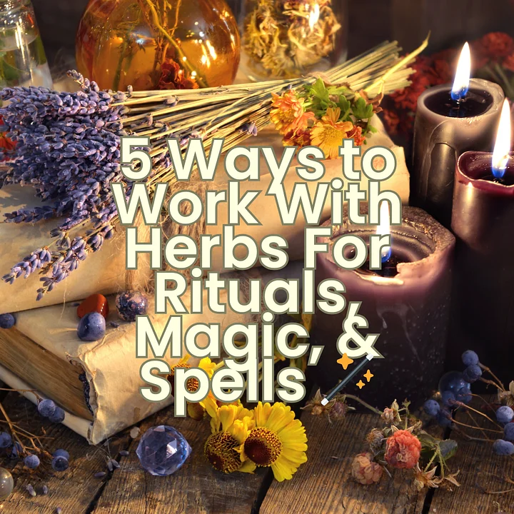 How To Work With Herbs In Rituals, Magic, & Spells Guide – 5 Big Tips & Tricks! 🪄 product image (1)
