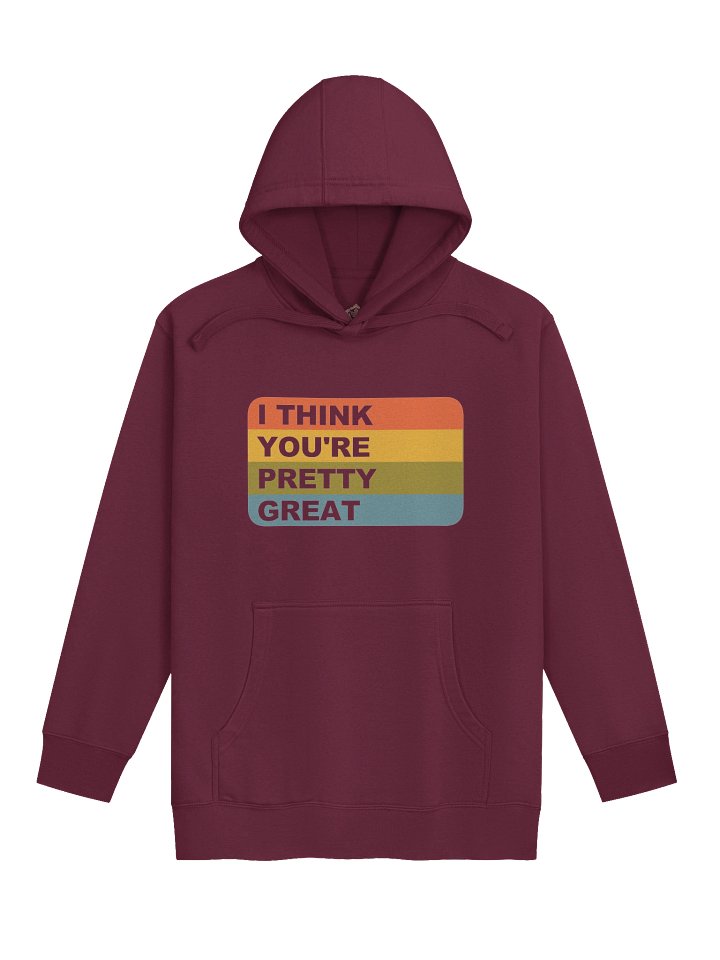 HOODIE - PRETTY GREAT product image (1)