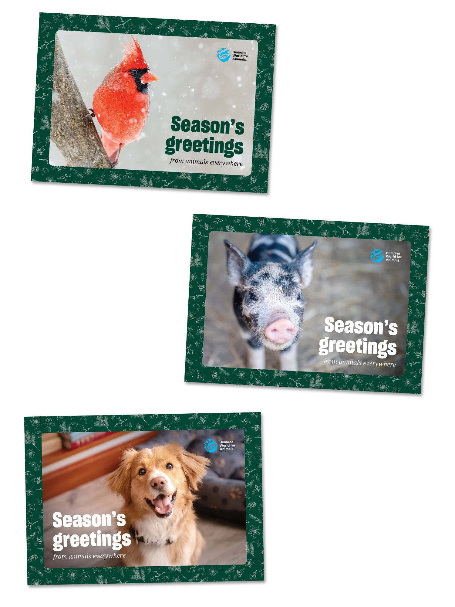 Holiday card bundle  product image (1)
