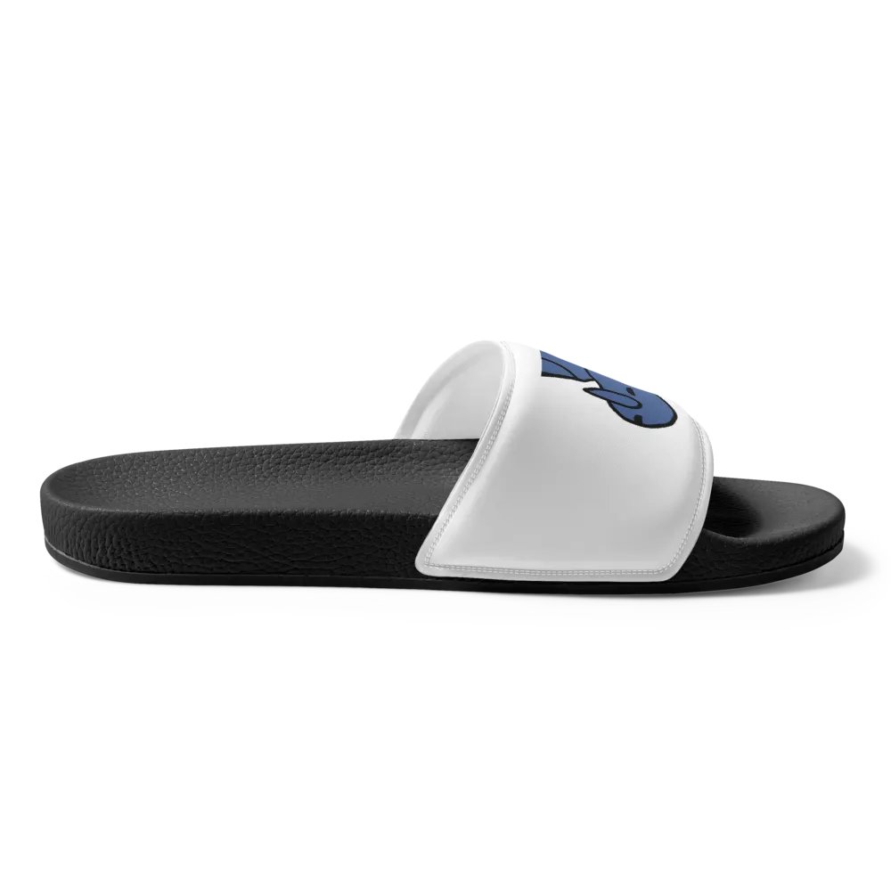Ski Slides product image (3)