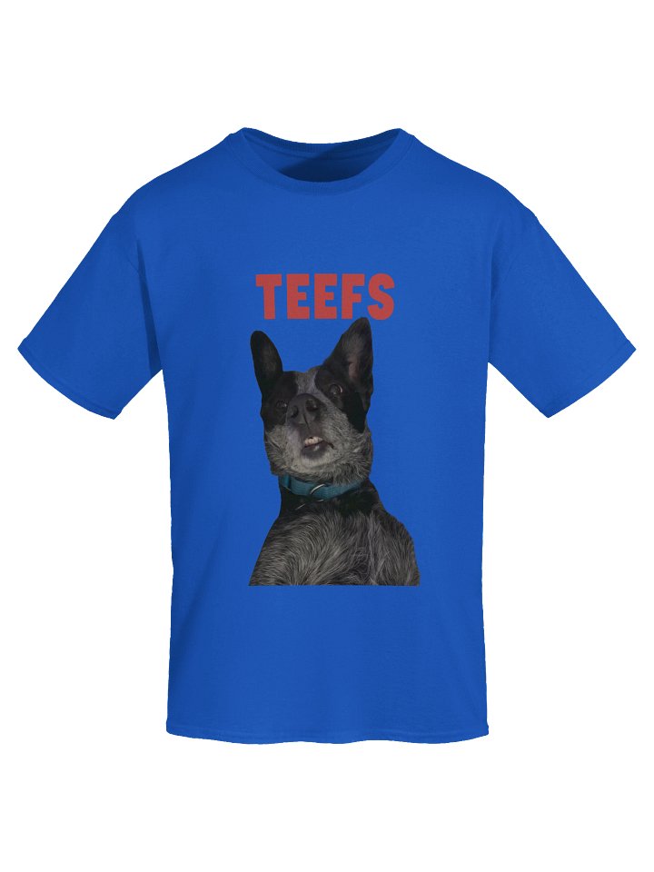 TEEFS Speckled Australian Cattle Dog Gildan Heavyweight T-Shirt product image (1)