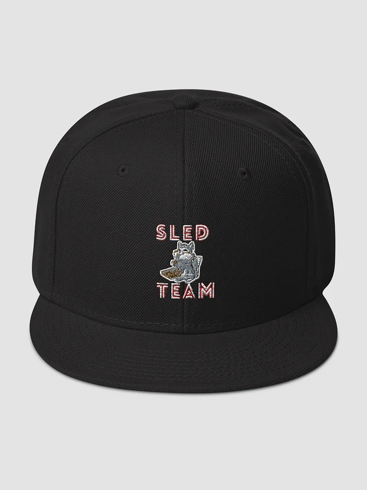 [Docstradamnus] Snapback - Otto Cap 125-978 product image (1)