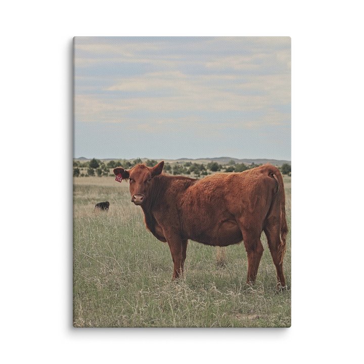 Ruby Red Canvas Print product image (1)