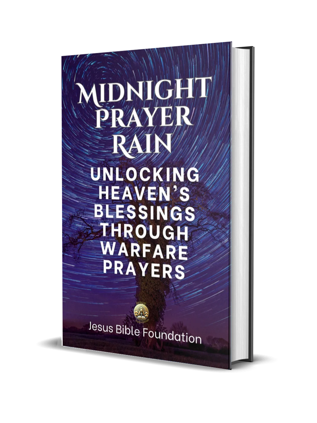 Midnight Prayer Rain: Unlocking Heaven’s Blessings Through Warfare Prayers product image (1)