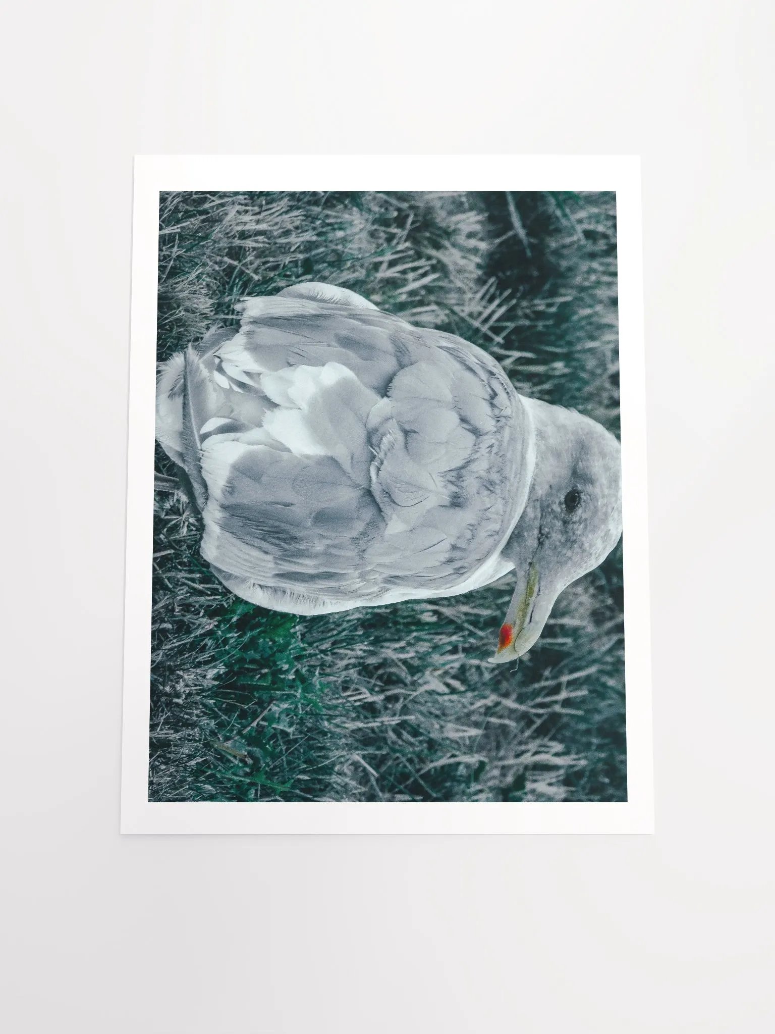 Seagull (my best buddy) product image (4)
