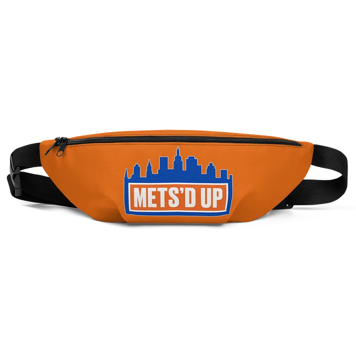 Fanny Pack product image (1)