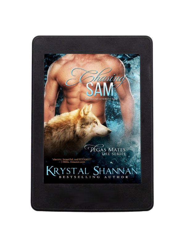 Chasing Sam product image (1)