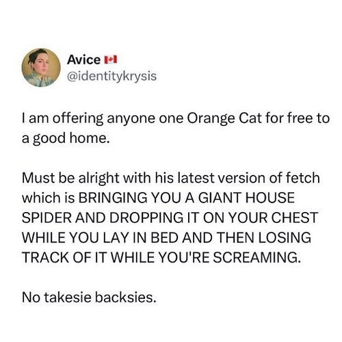 cats would never deceive you. there’s no reason for them to do that.