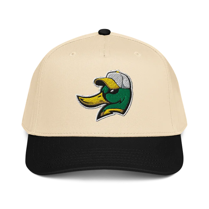 Dublin Mallards Baseball Cap (Snapback) product image (1)
