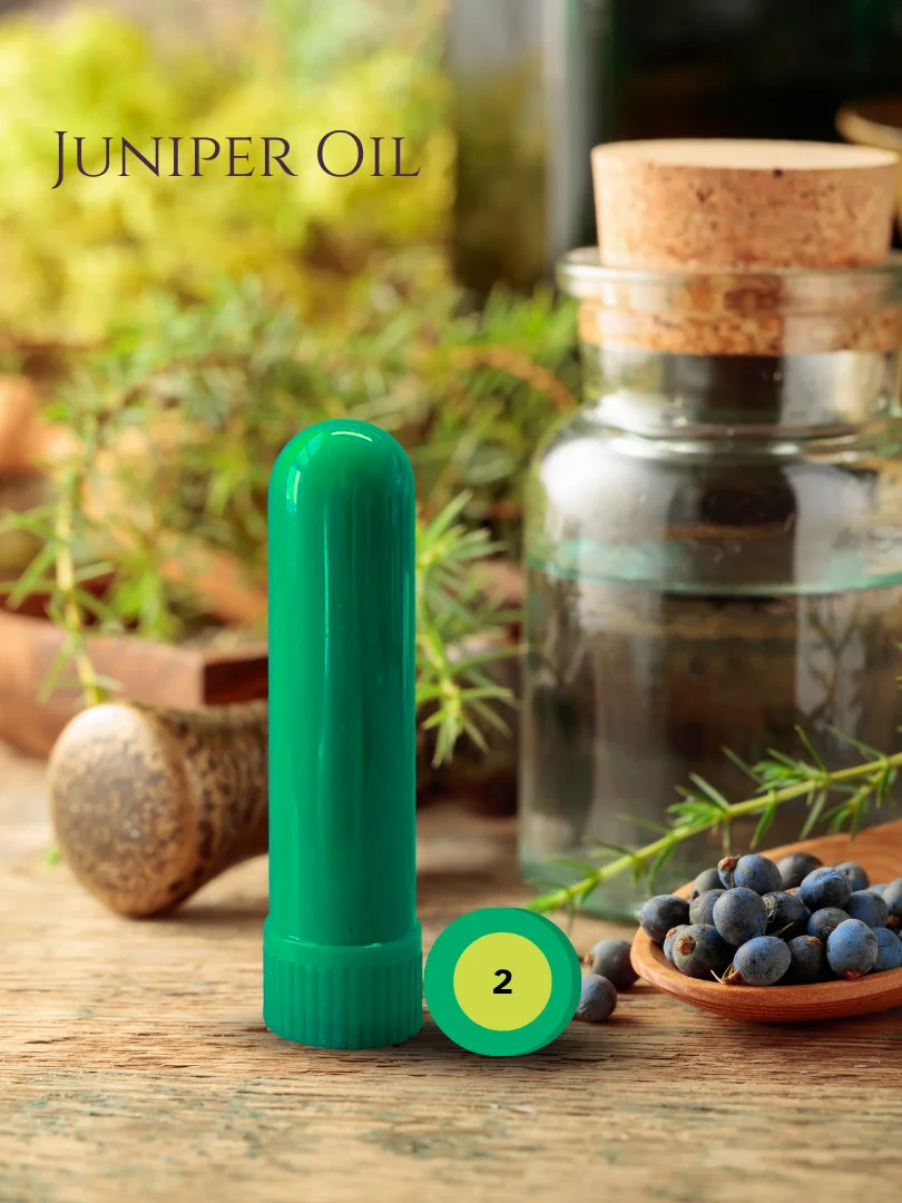 Olfaria Herbal Odor Training Kit | 5 Single-Note Essential Oils | Scent Education | Train Your Nose product image (3)