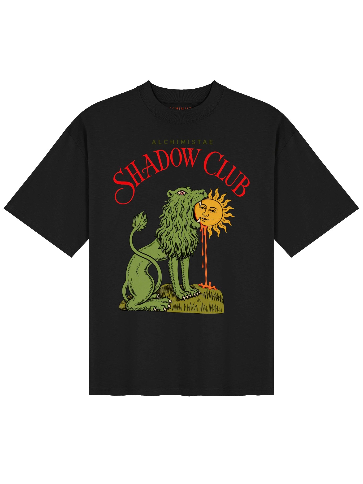 T-Shirt Unisex Oversize Coton Bio Poids Lourd - LION ALCHIMIQUE product image (1)