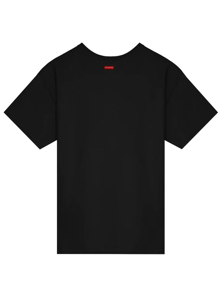 STFC Briefings Borg Sphere Collection T-Shirt product image (11)