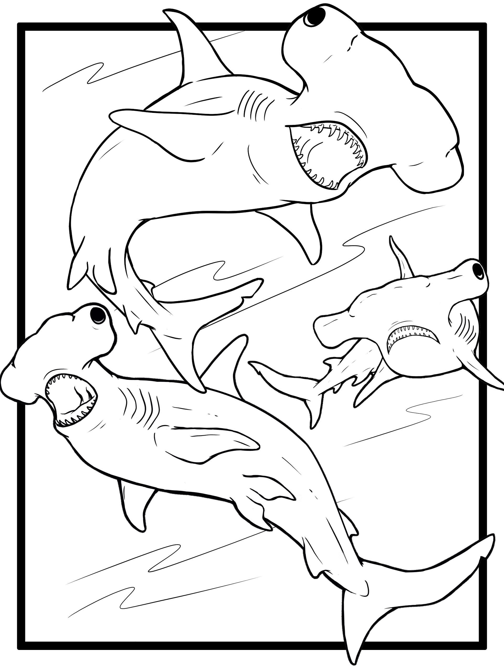 Hammerhead Coloring Pages product image (1)