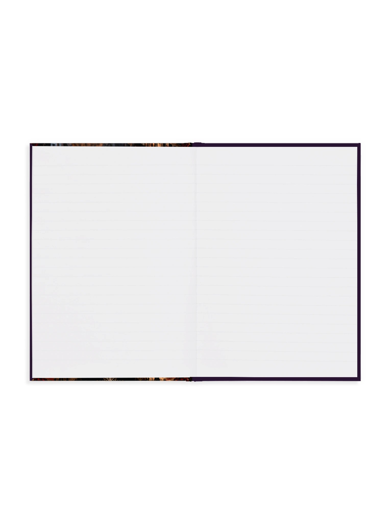The Midnight Scholar | Gothic Reading Journal — RST Publishing product image (4)