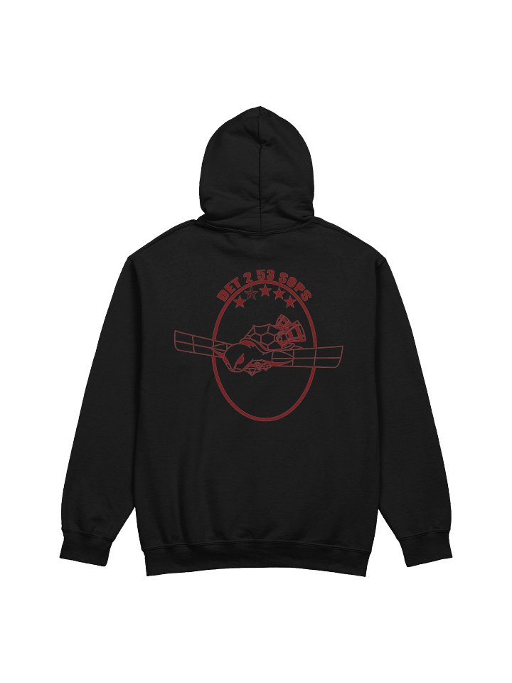 PT Hoodie product image (2)