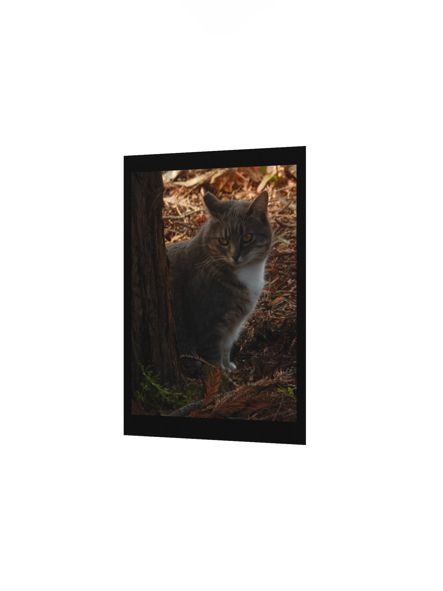 Forest Kitty product image (3)
