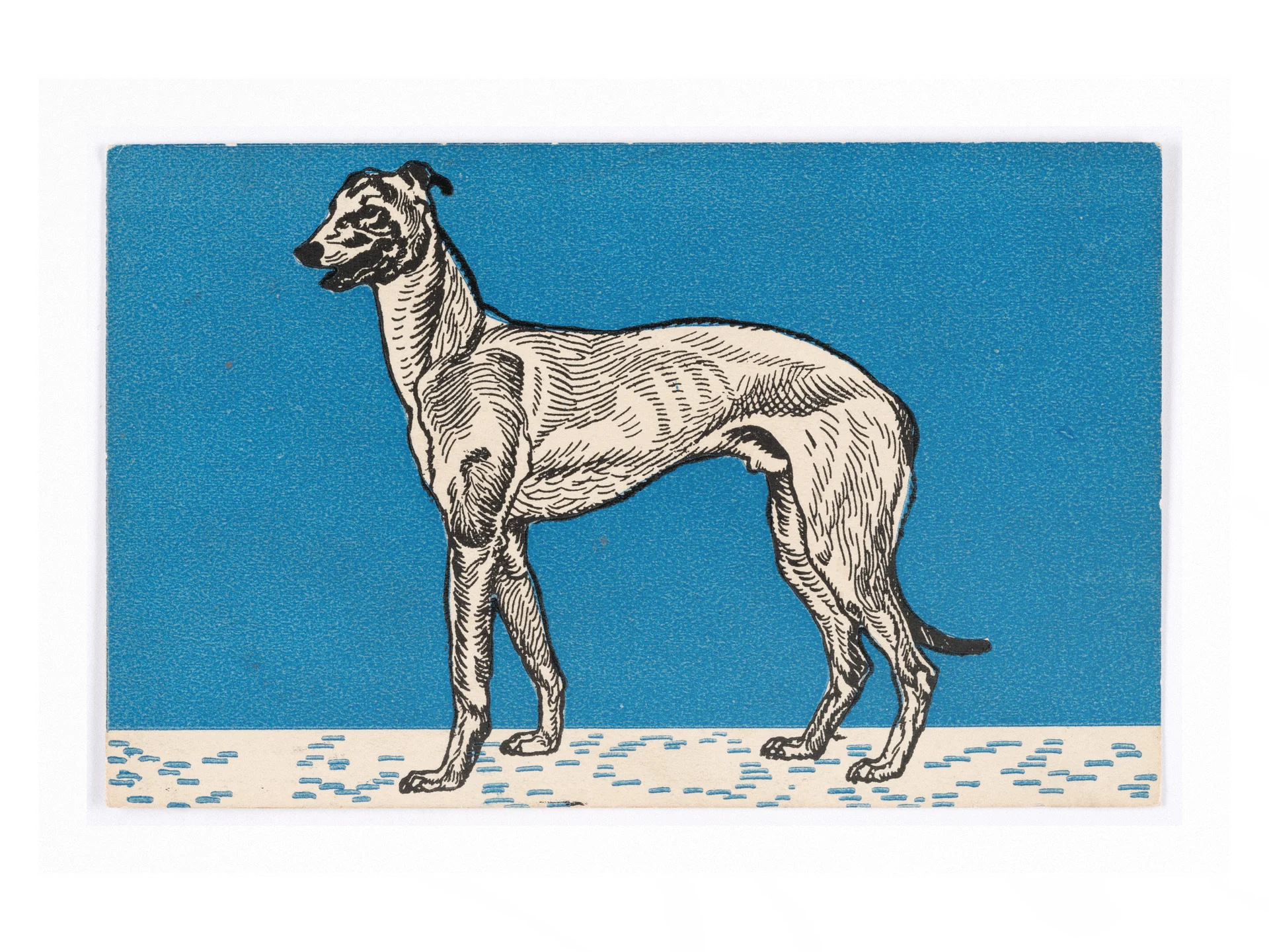 Greyhound II Poster product image (1)