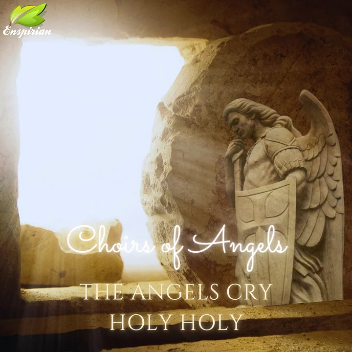 THE ANGELS CRY HOLY HOLY product image (1)