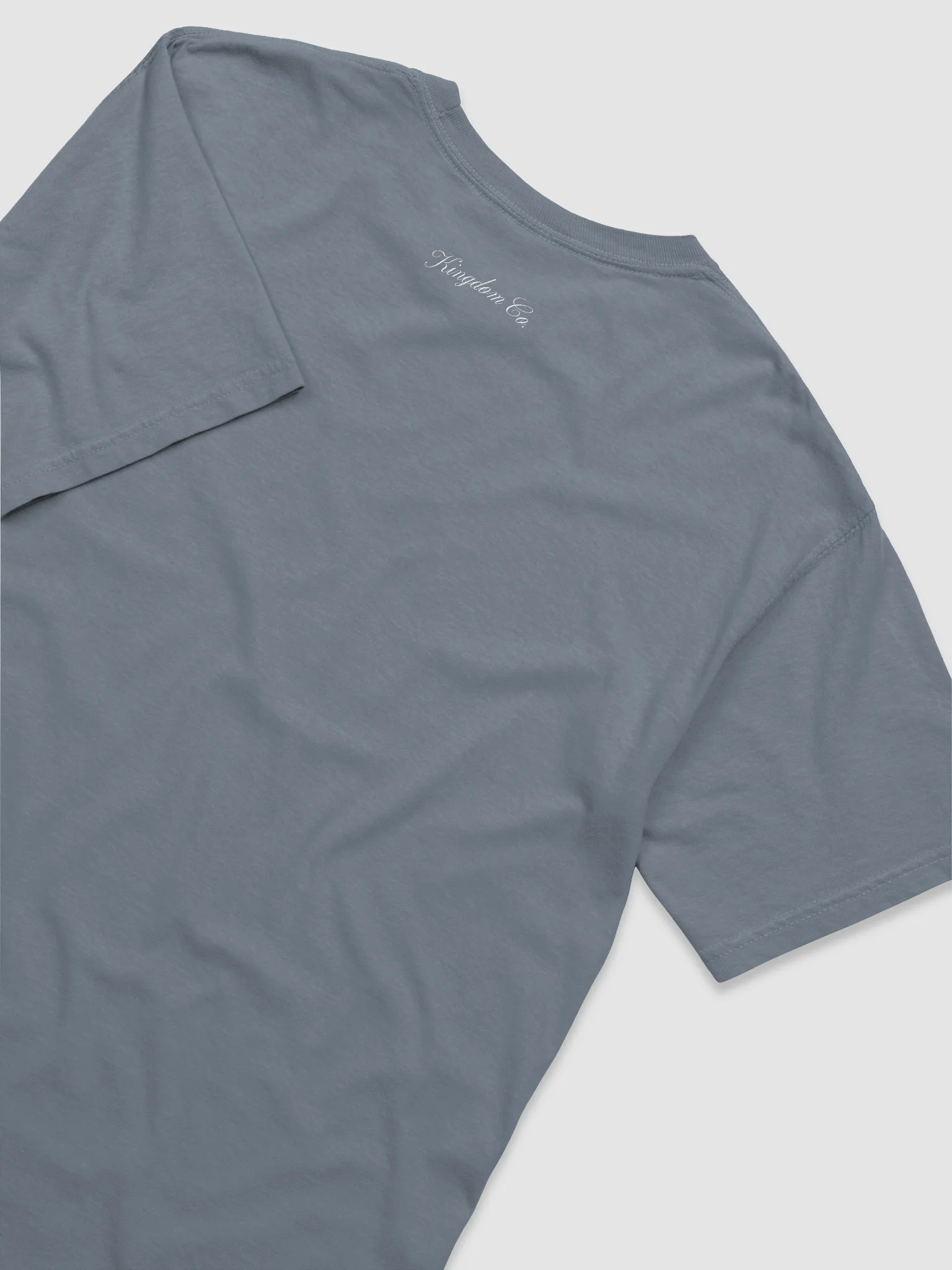 Boldness is Your Birthright Coastal Tee product image (4)
