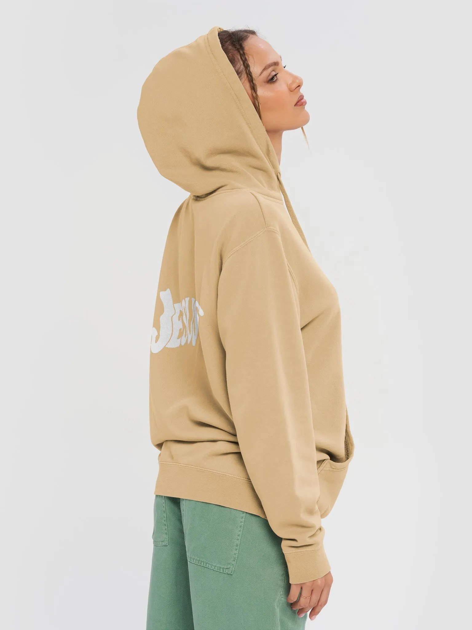 AAN Premium Cozy Hoodie product image (5)