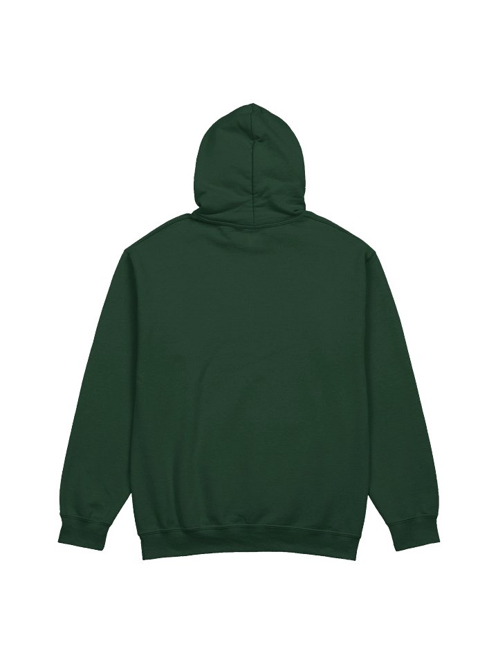 SHINE CLASSIC FIRST EDITION HOODIE product image (2)